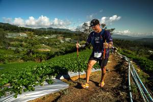 BIB: 6996
                            <button type="button" onclick="openModal(19125021)" class="btn btn-primary btn-sm float-right btn-popup" data-toggle="modal" data-target=".modal-high-quality">
                        <i class="fas fa-shopping-cart"></i> Add to Cart
                    </button>
                                            <button type="button" onclick="isThisMe(19125021, true)" class="btn btn-success btn-sm float-right btn-popup btn-isme hidden" data-toggle="tooltip" data-placement="bottom" title="นี่คือรูปของคุณใช่ไหม คลิกที่นี่เพื่อเอาเข้าอัลบั้ม">
                        <i class="fas fa-plus"></i> Add to album
                    </button>
                    <button type="button" onclick="isThisMe(19125021, false)" class="btn btn-warning btn-sm float-right btn-popup btn-isnotme hidden">
                        <i class="fas fa-ban"></i> Remove from album
                    </button>